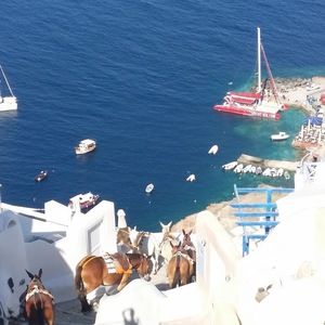 Meet your Posher, Sabinahyunjee